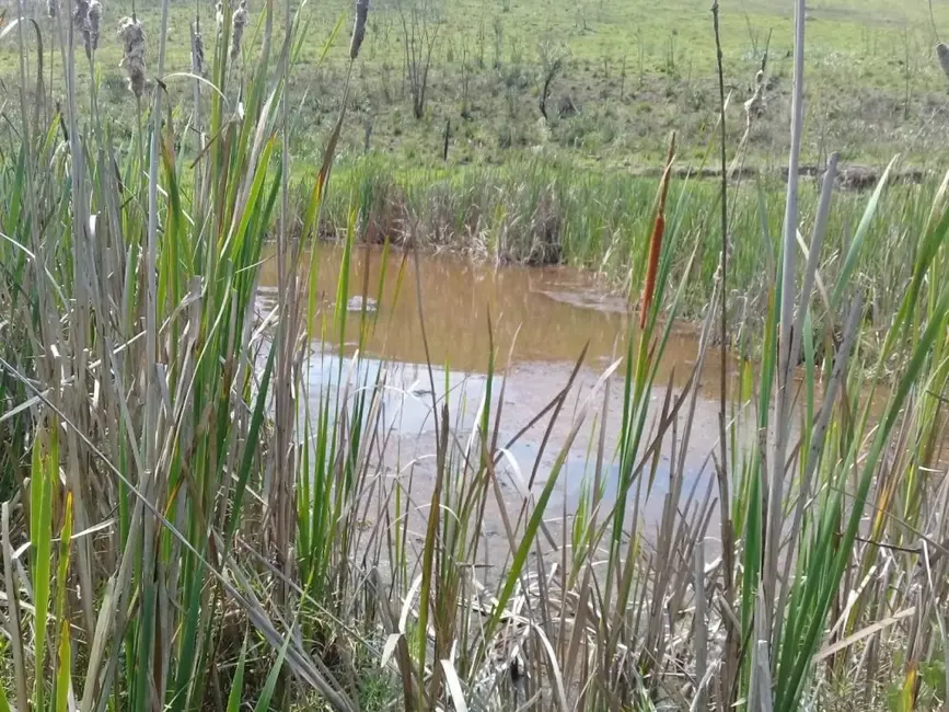 Foto 9 de Fazenda / Haras à venda, 10m2 em Centro, Jarinu - SP