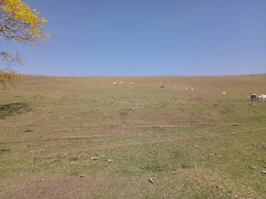 Foto 7 de Terreno / Lote à venda, 600000m2 em Batatuba, Piracaia - SP