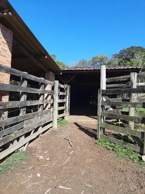 Foto 7 de Fazenda / Haras à venda, 50m2 em Sao Miguel Arcanjo - SP
