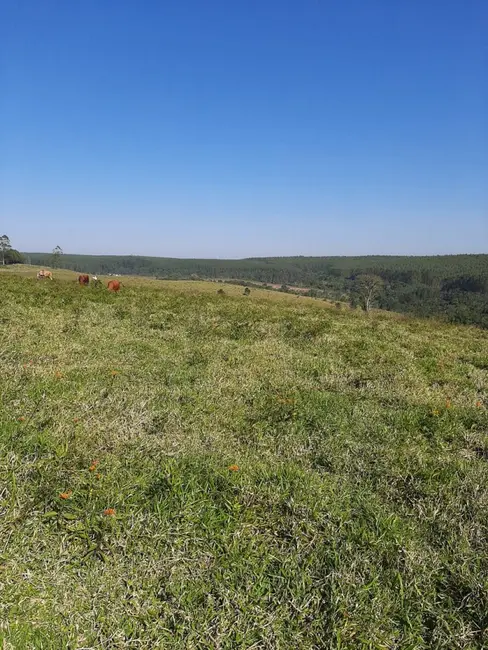 Foto 1 de Fazenda / Haras à venda, 50m2 em Sao Miguel Arcanjo - SP