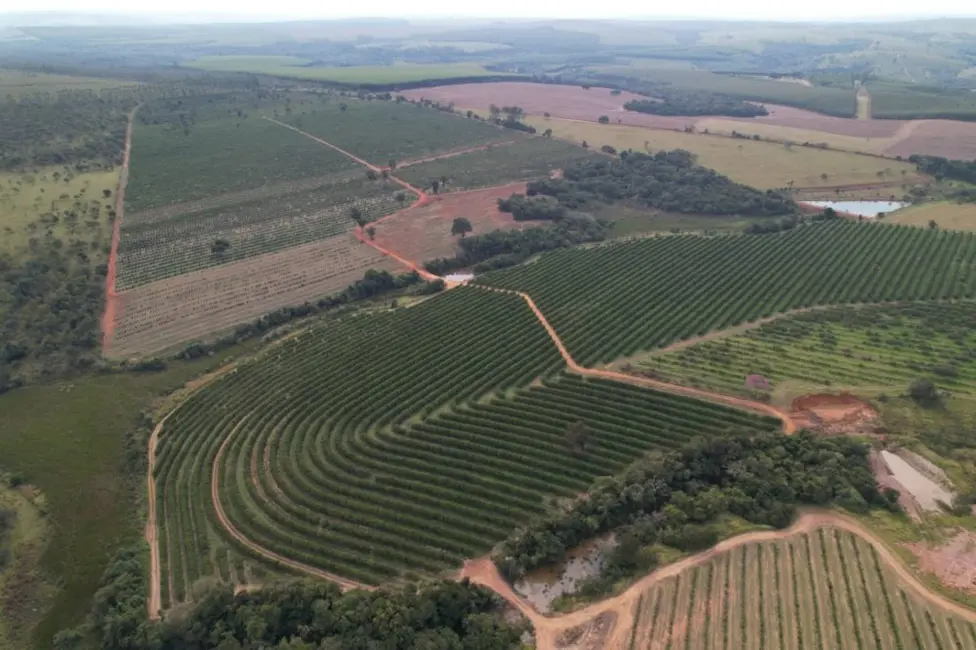 Foto 1 de Fazenda / Haras à venda, 170m2 em Angatuba - SP