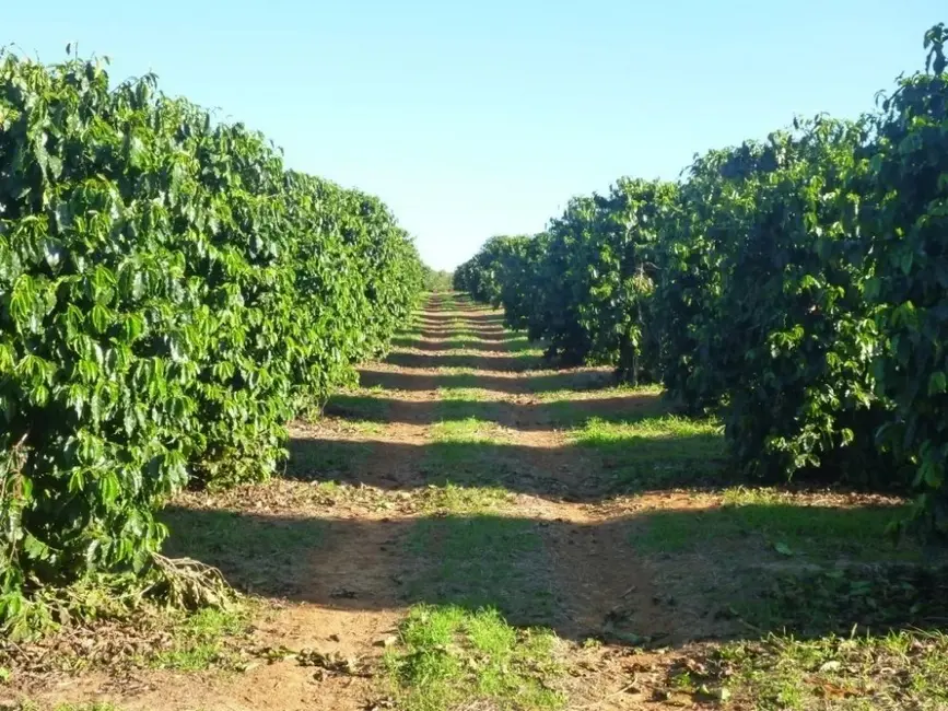 Foto 1 de Fazenda / Haras à venda, 530m2 em São Francisco, Patrocinio - MG