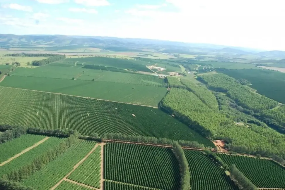 Foto 4 de Fazenda / Haras à venda, 530m2 em São Francisco, Patrocinio - MG