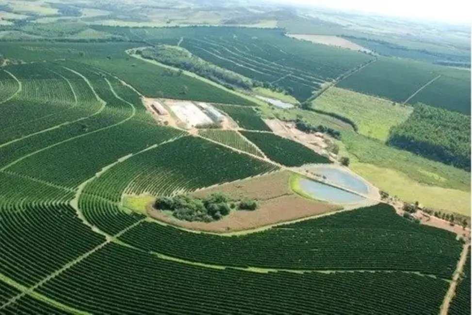Foto 6 de Fazenda / Haras à venda, 530m2 em São Francisco, Patrocinio - MG
