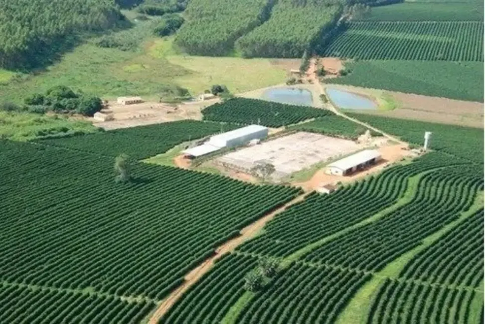 Foto 3 de Fazenda / Haras à venda, 530m2 em São Francisco, Patrocinio - MG