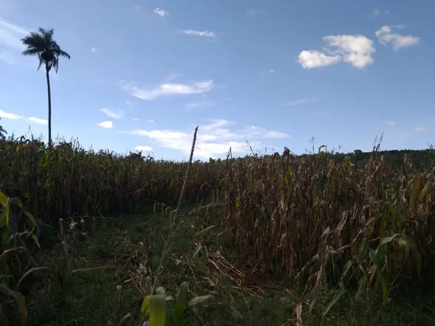 Foto 1 de Fazenda / Haras à venda, 14m2 em Patrocinio Paulista - SP