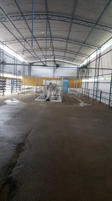 Foto 4 de Fazenda / Haras à venda, 120m2 em Sao Goncalo Do Sapucai - MG