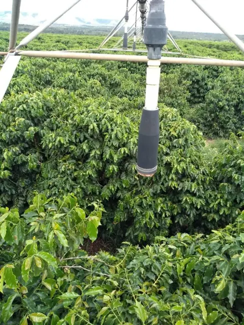 Foto 4 de Fazenda / Haras à venda, 672m2 em Bonfinopolis De Minas - MG