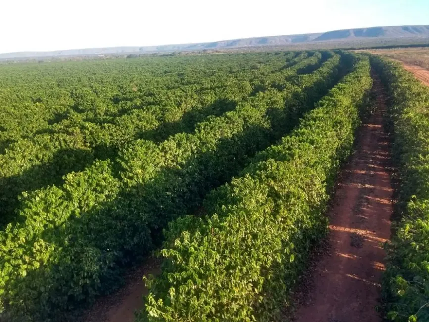 Foto 5 de Fazenda / Haras à venda, 672m2 em Bonfinopolis De Minas - MG