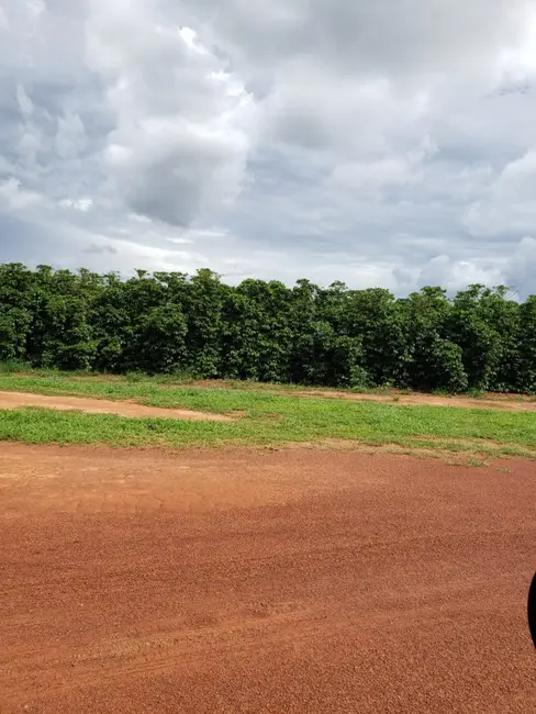 Foto 7 de Fazenda / Haras à venda, 672m2 em Bonfinopolis De Minas - MG