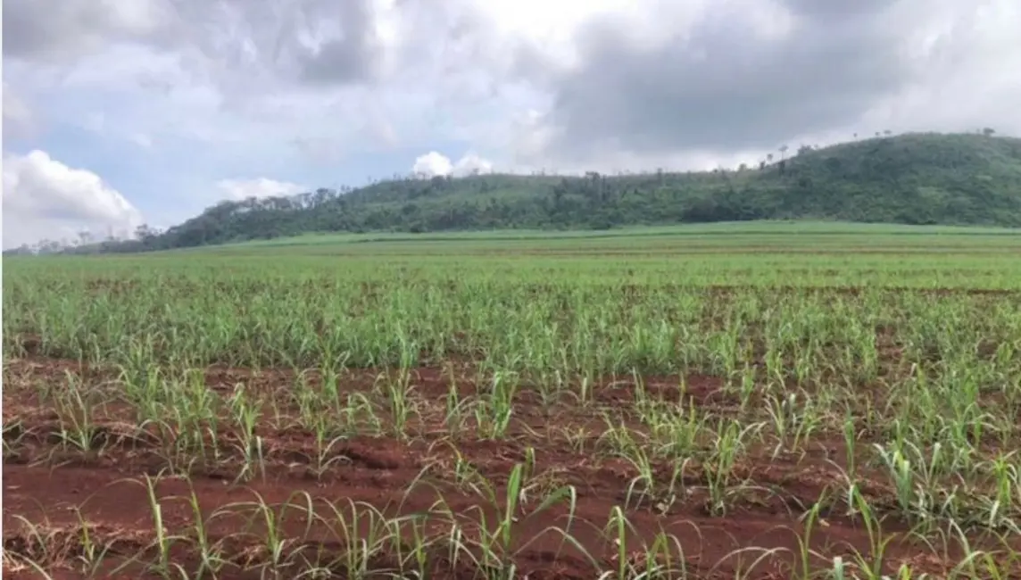 Foto 4 de Fazenda / Haras à venda, 1872m2 em Serra Azul - SP