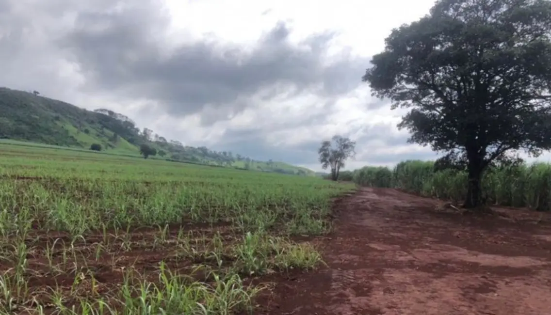 Foto 2 de Fazenda / Haras à venda, 1872m2 em Serra Azul - SP