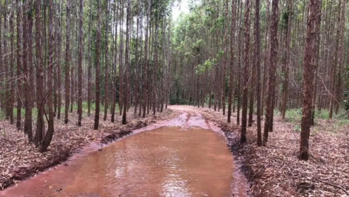 Foto 8 de Fazenda / Haras à venda, 449m2 em Sao Simao - SP