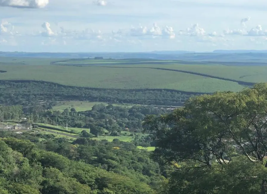 Foto 4 de Fazenda / Haras à venda, 449m2 em Sao Simao - SP