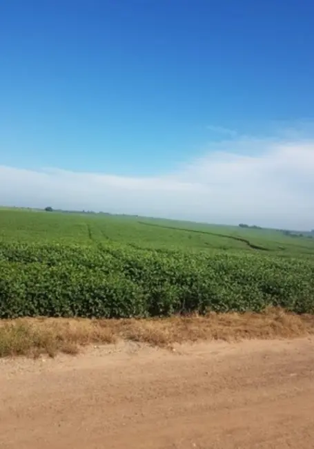 Fazenda / Haras à venda, 458m2 em Área Rural de Ribeirão Preto, Ribeirao Preto - SP - imagem 1 Foto 1 de Fazenda / Haras à venda, 458m2 em Área Rural de Ribeirão Preto, Ribeirao Preto - SP