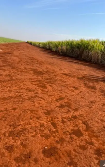 Fazenda / Haras à venda, 458m2 em Área Rural de Ribeirão Preto, Ribeirao Preto - SP - imagem 4 Foto 4 de Fazenda / Haras à venda, 458m2 em Área Rural de Ribeirão Preto, Ribeirao Preto - SP