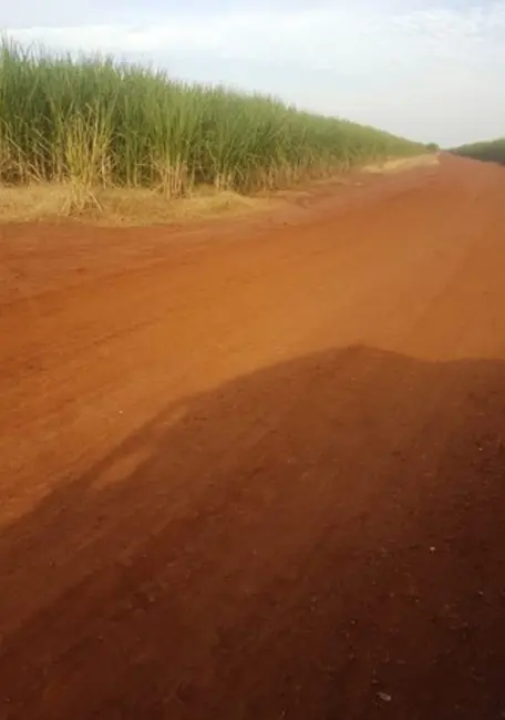 Fazenda / Haras à venda, 458m2 em Área Rural de Ribeirão Preto, Ribeirao Preto - SP - imagem 2 Foto 2 de Fazenda / Haras à venda, 458m2 em Área Rural de Ribeirão Preto, Ribeirao Preto - SP