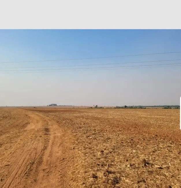 Fazenda / Haras à venda, 458m2 em Área Rural de Ribeirão Preto, Ribeirao Preto - SP - imagem 5 Foto 5 de Fazenda / Haras à venda, 458m2 em Área Rural de Ribeirão Preto, Ribeirao Preto - SP