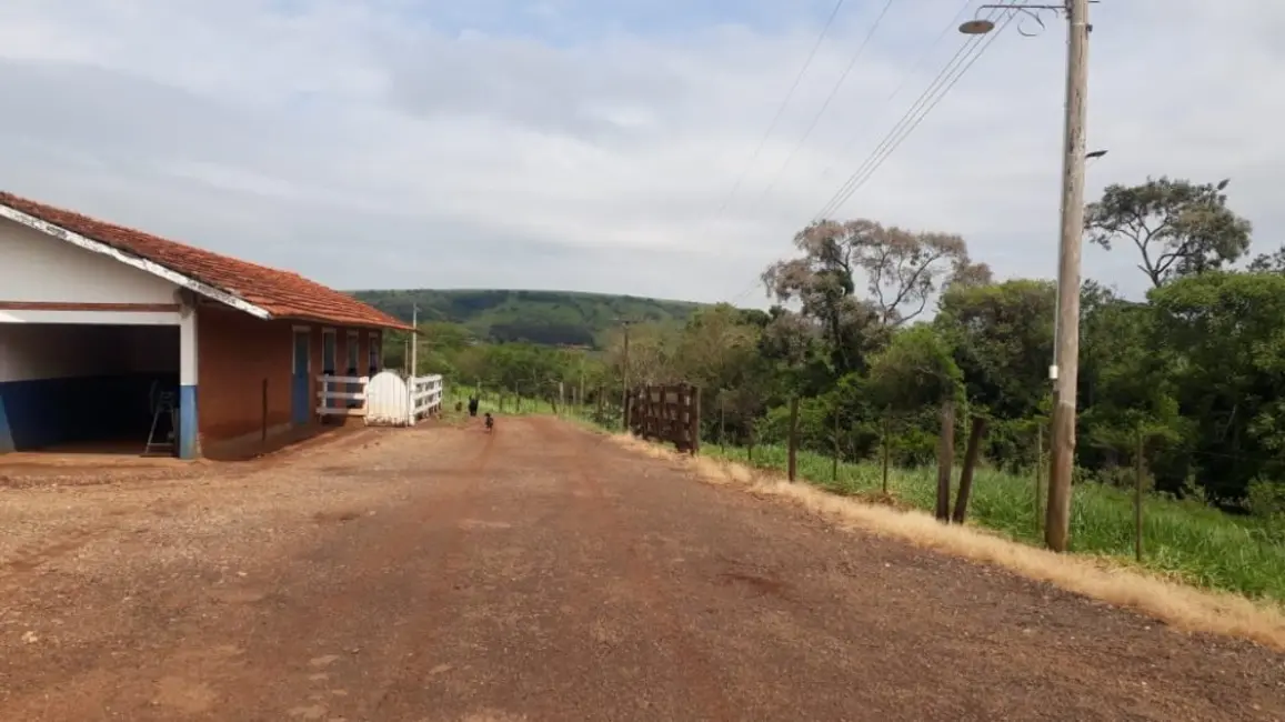 Foto 9 de Fazenda / Haras à venda, 216m2 em Descalvado - SP