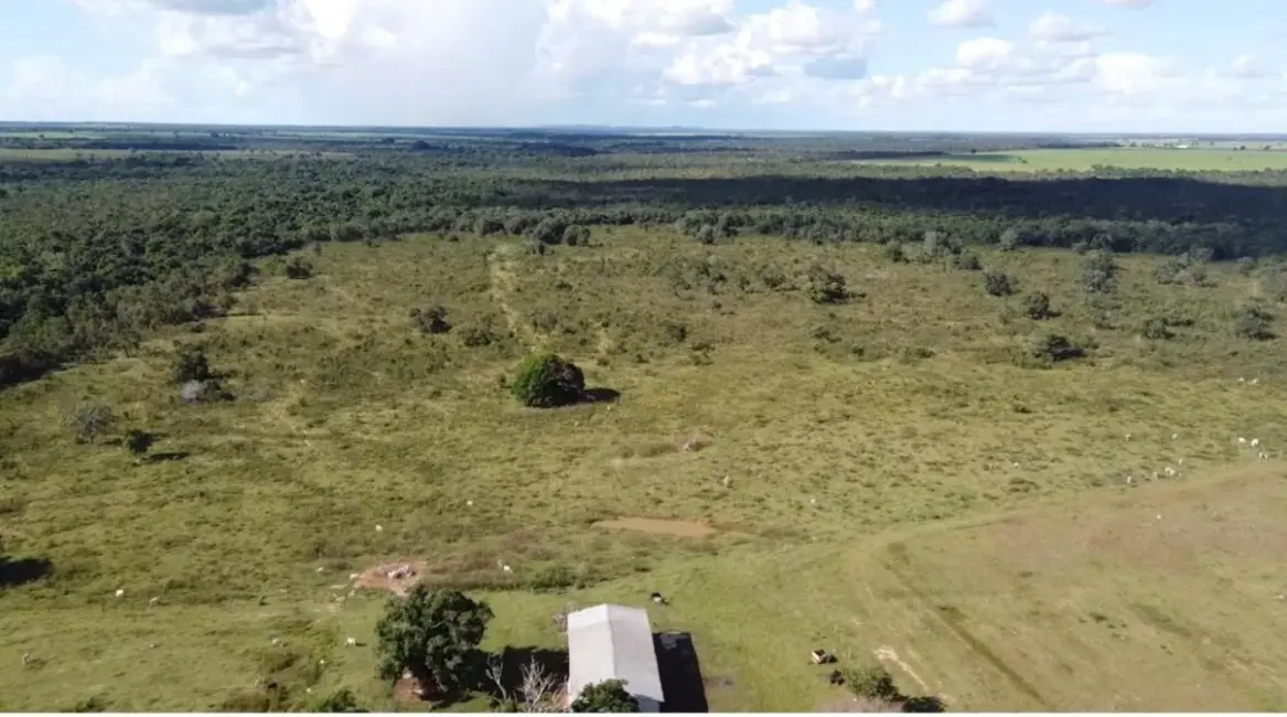 Foto 3 de Fazenda / Haras à venda, 8147m2 em Alto Boa Vista - MT