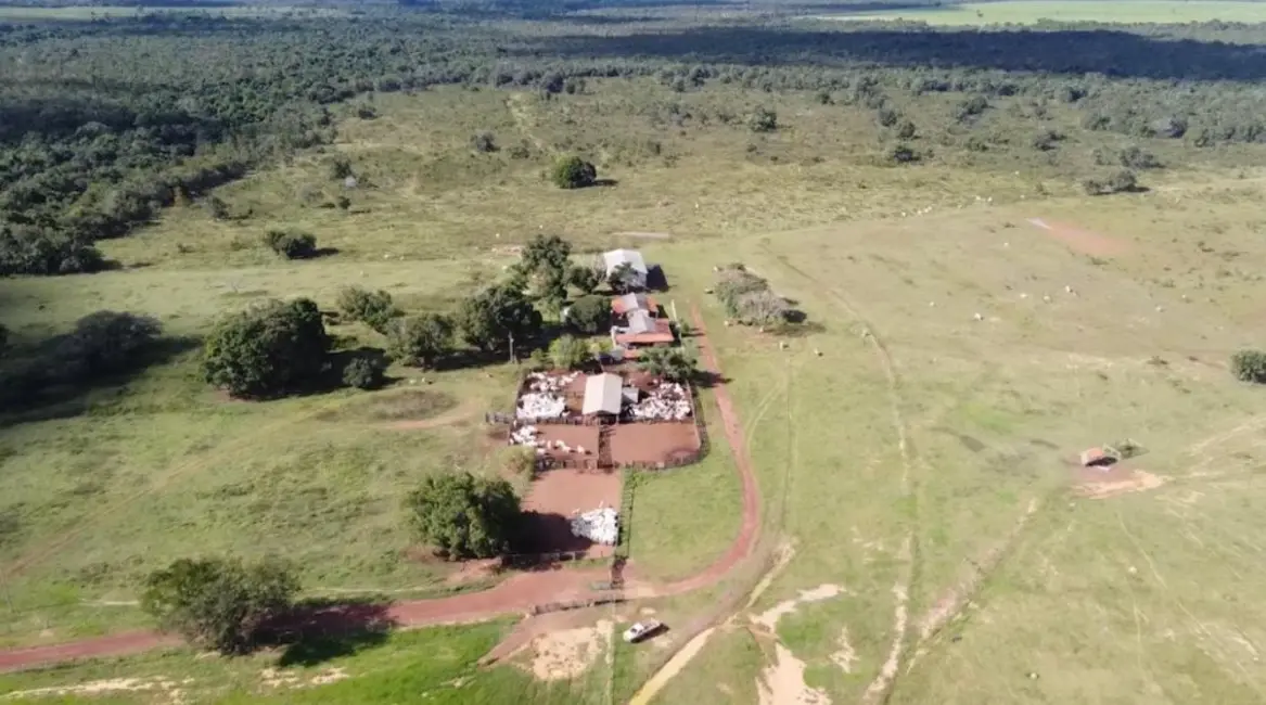 Foto 2 de Fazenda / Haras à venda, 8147m2 em Alto Boa Vista - MT