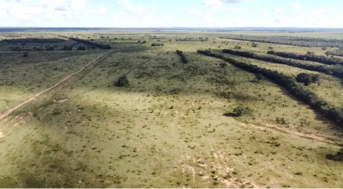 Foto 4 de Fazenda / Haras à venda, 8147m2 em Alto Boa Vista - MT