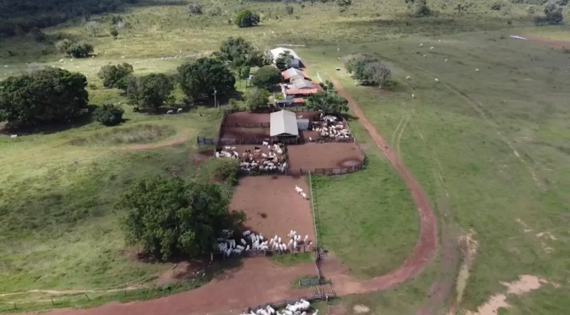 Foto 1 de Fazenda / Haras à venda, 8147m2 em Alto Boa Vista - MT