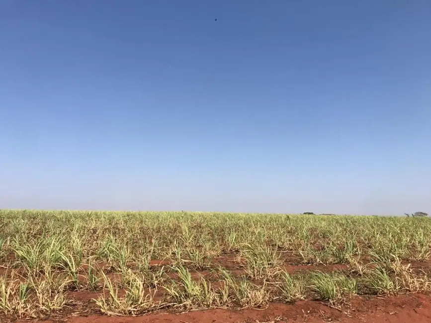 Foto 1 de Fazenda / Haras à venda, 373m2 em Nipoa - SP