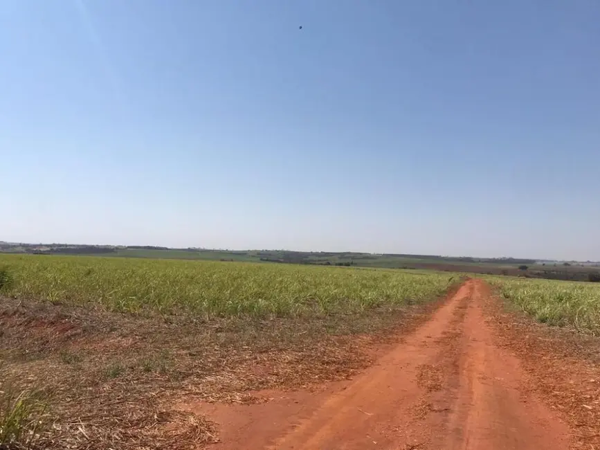 Foto 6 de Fazenda / Haras à venda, 373m2 em Nipoa - SP