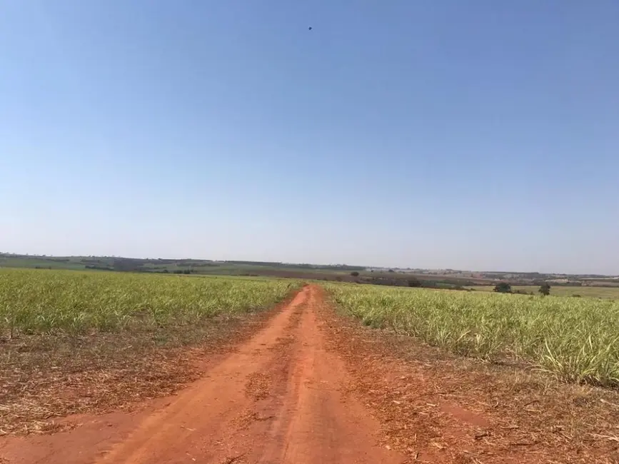 Foto 7 de Fazenda / Haras à venda, 373m2 em Nipoa - SP