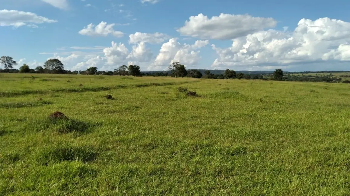 Fazenda / Haras à venda, 20m2 em Campina Verde - MG - imagem 1 Foto 1 de Fazenda / Haras à venda, 20m2 em Campina Verde - MG