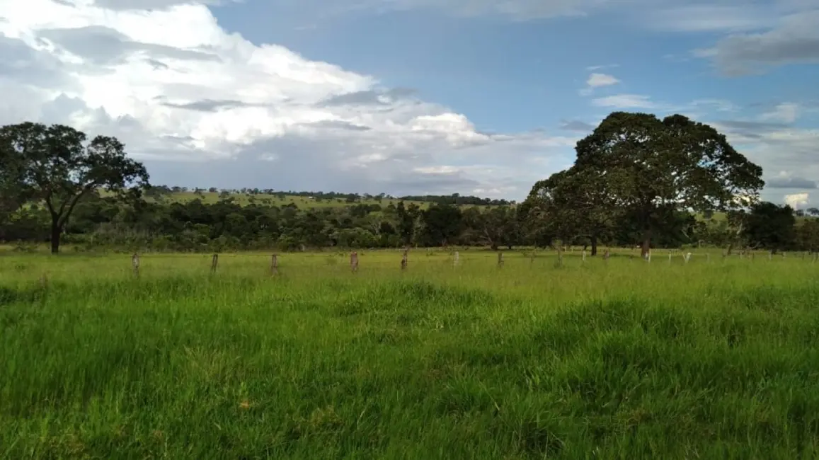 Fazenda / Haras à venda, 20m2 em Campina Verde - MG - imagem 3 Foto 3 de Fazenda / Haras à venda, 20m2 em Campina Verde - MG