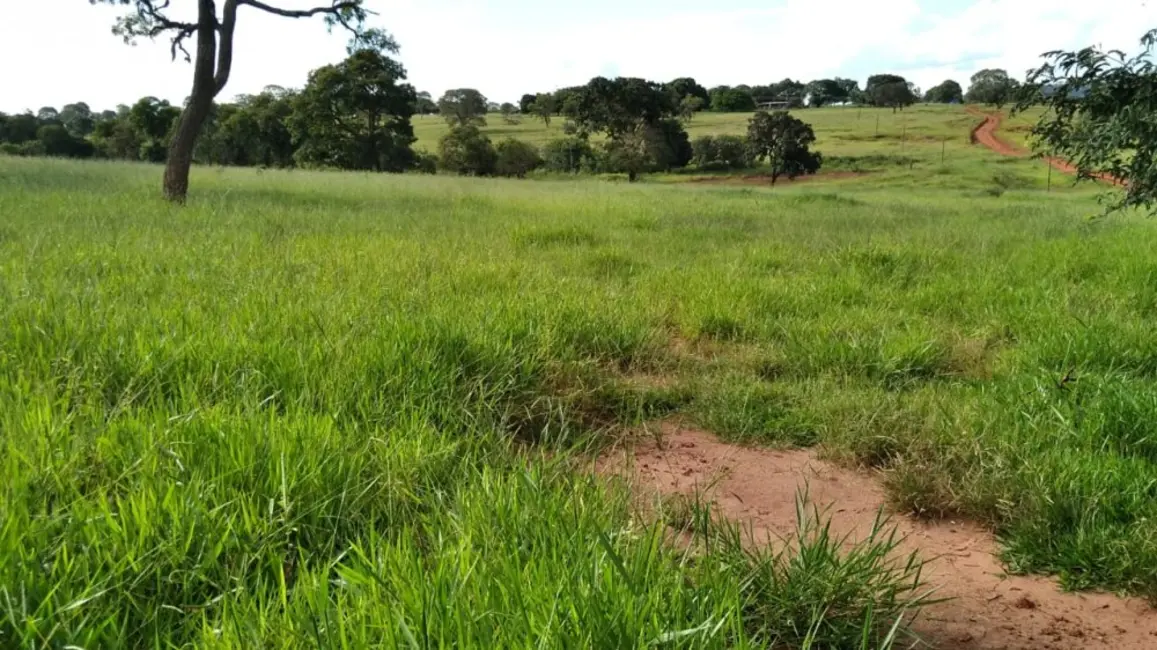 Fazenda / Haras à venda, 20m2 em Campina Verde - MG - imagem 5 Foto 5 de Fazenda / Haras à venda, 20m2 em Campina Verde - MG
