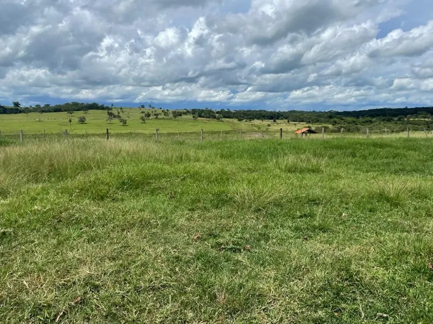 Foto 5 de Fazenda / Haras à venda, 100m2 em Auriflama - SP