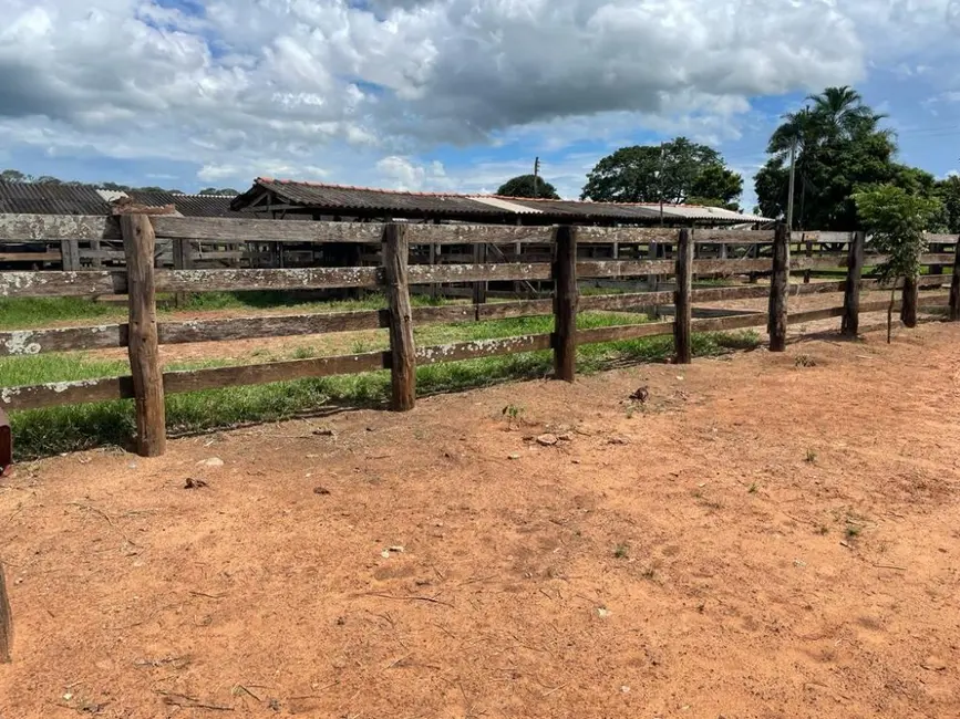 Foto 6 de Fazenda / Haras à venda, 100m2 em Auriflama - SP