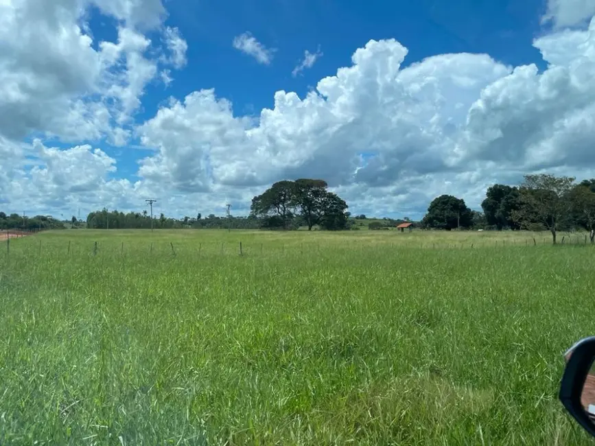Foto 2 de Fazenda / Haras à venda, 100m2 em Auriflama - SP