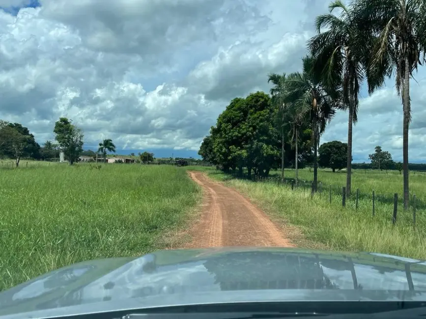 Foto 7 de Fazenda / Haras à venda, 100m2 em Auriflama - SP