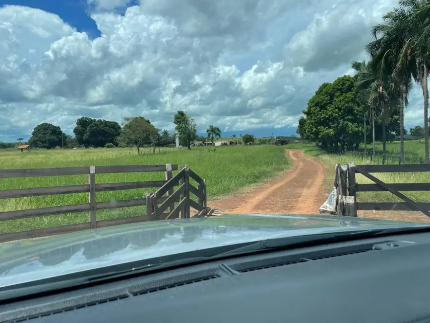Foto 1 de Fazenda / Haras à venda, 100m2 em Auriflama - SP