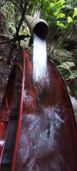 Foto 6 de Fazenda / Haras à venda, 68m2 em Área Rural de São Carlos, Sao Carlos - SP