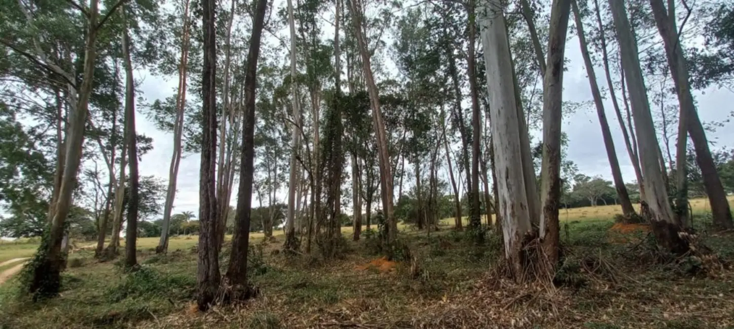 Foto 5 de Fazenda / Haras à venda, 68m2 em Área Rural de São Carlos, Sao Carlos - SP