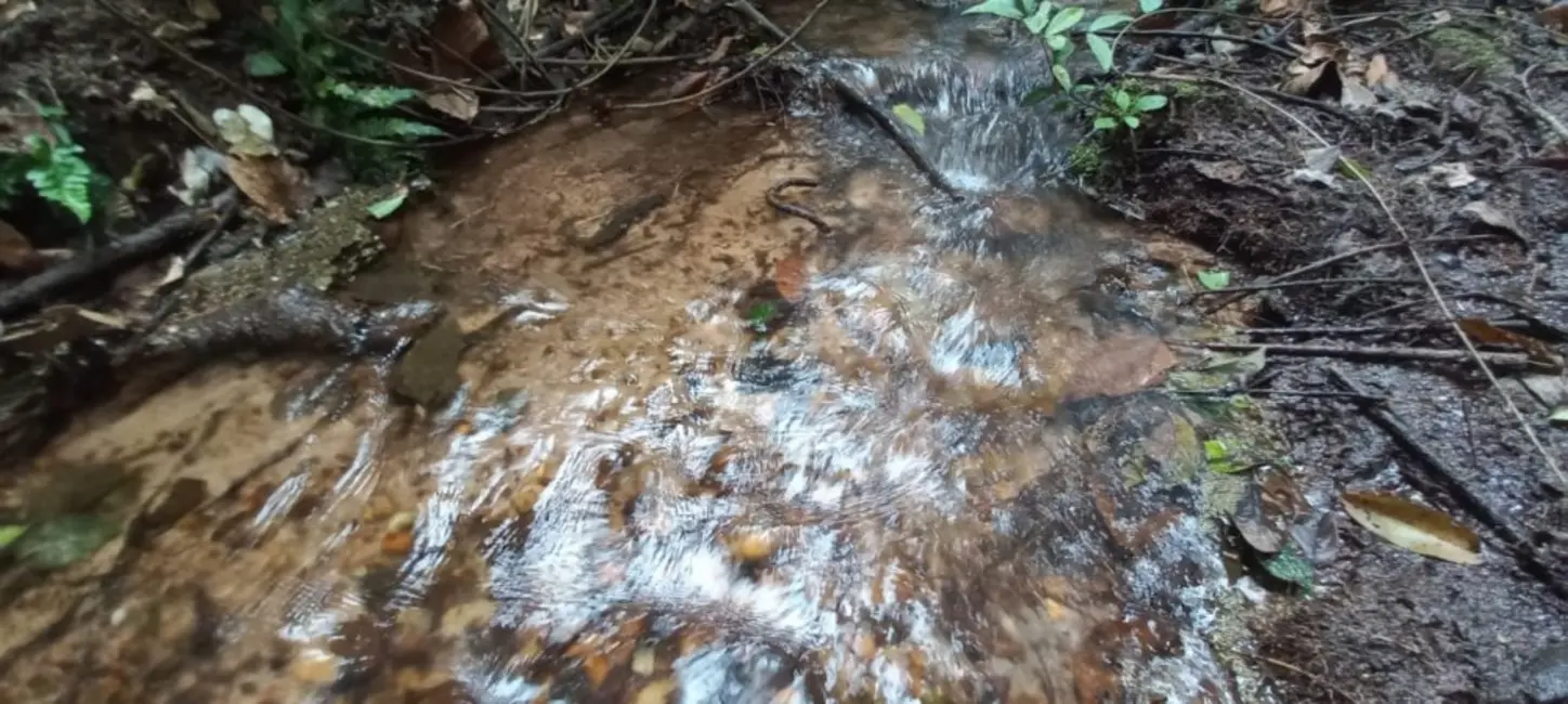 Foto 7 de Fazenda / Haras à venda, 68m2 em Área Rural de São Carlos, Sao Carlos - SP