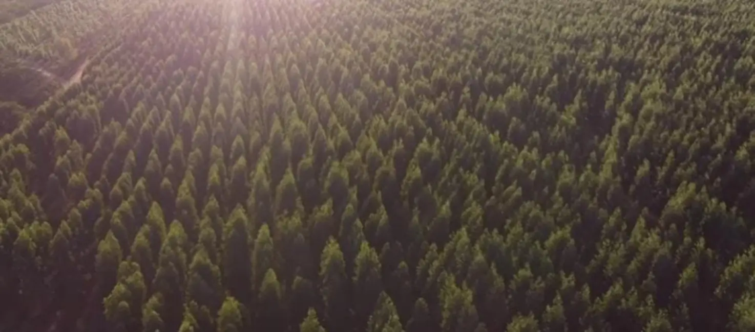 Foto 9 de Fazenda / Haras à venda, 1700m2 em Centro, Varzea Da Palma - MG