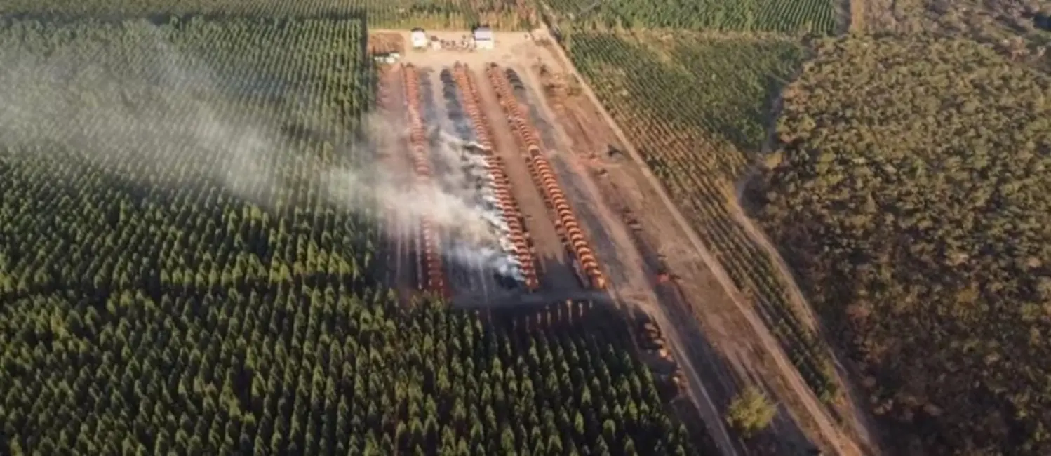 Foto 4 de Fazenda / Haras à venda, 1700m2 em Centro, Varzea Da Palma - MG