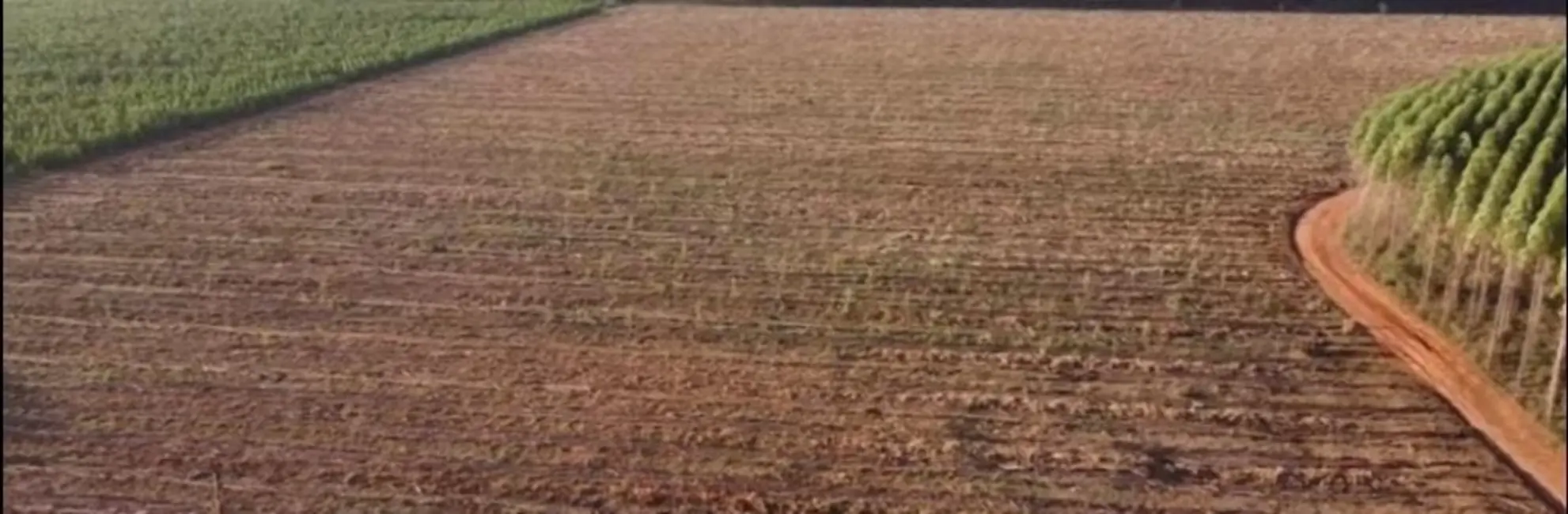 Foto 8 de Fazenda / Haras à venda, 1700m2 em Centro, Varzea Da Palma - MG