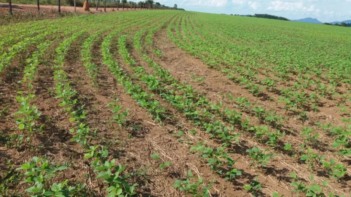 Foto 7 de Fazenda / Haras à venda, 57000m2 em Campina, Belem - PA