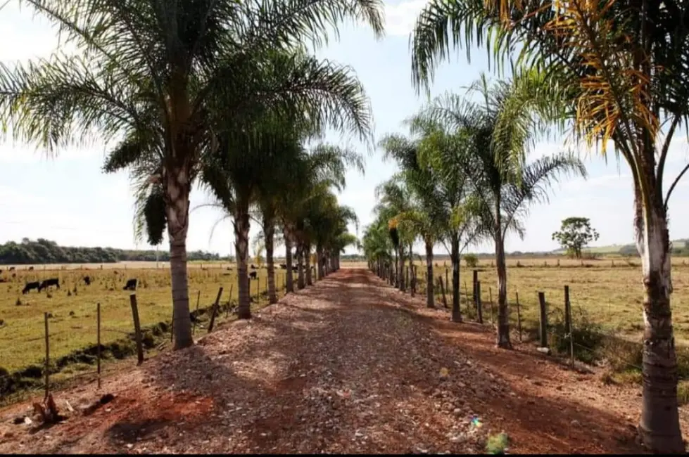 Foto 8 de Fazenda / Haras à venda, 50m2 em Jardim Quitandinha, Araraquara - SP