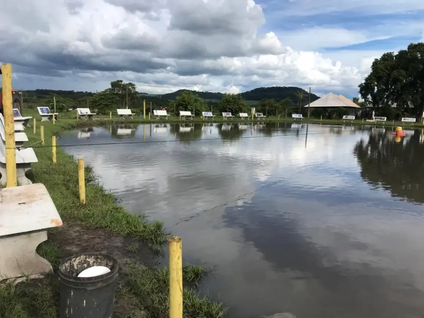 Foto 5 de Fazenda / Haras à venda, 50m2 em Jardim Quitandinha, Araraquara - SP