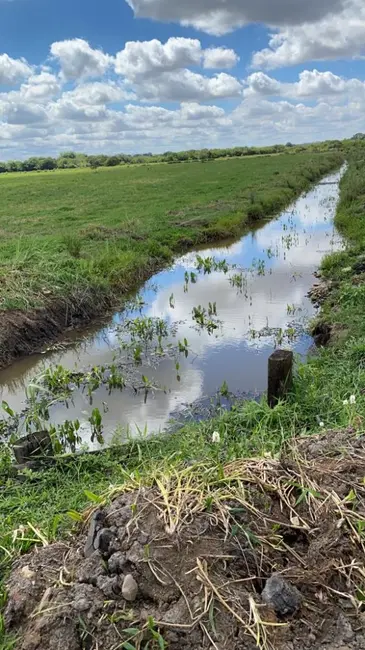 Fazenda / Haras à venda, 121m2 em Área Rural de Ribeirão Preto, Ribeirao Preto - SP - imagem 6 Foto 6 de Fazenda / Haras à venda, 121m2 em Área Rural de Ribeirão Preto, Ribeirao Preto - SP