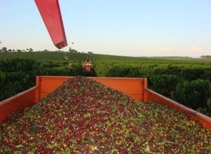 Foto 2 de Fazenda / Haras à venda, 530m2 em Piumhi - MG