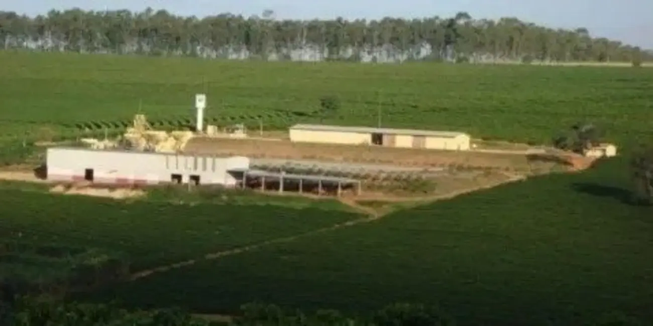 Foto 5 de Fazenda / Haras à venda, 530m2 em Piumhi - MG